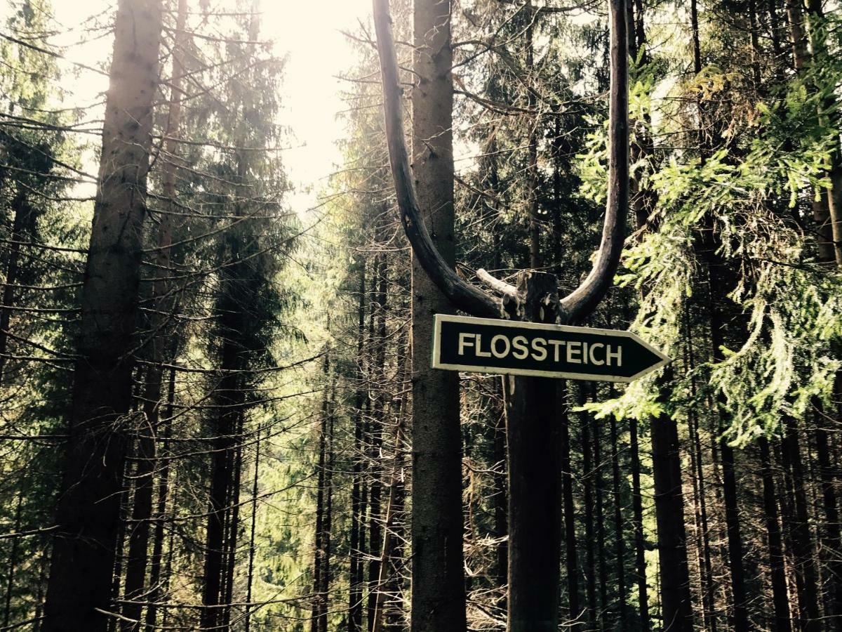 Flair-Hotel Waldfrieden Oberweißbach 외부 사진